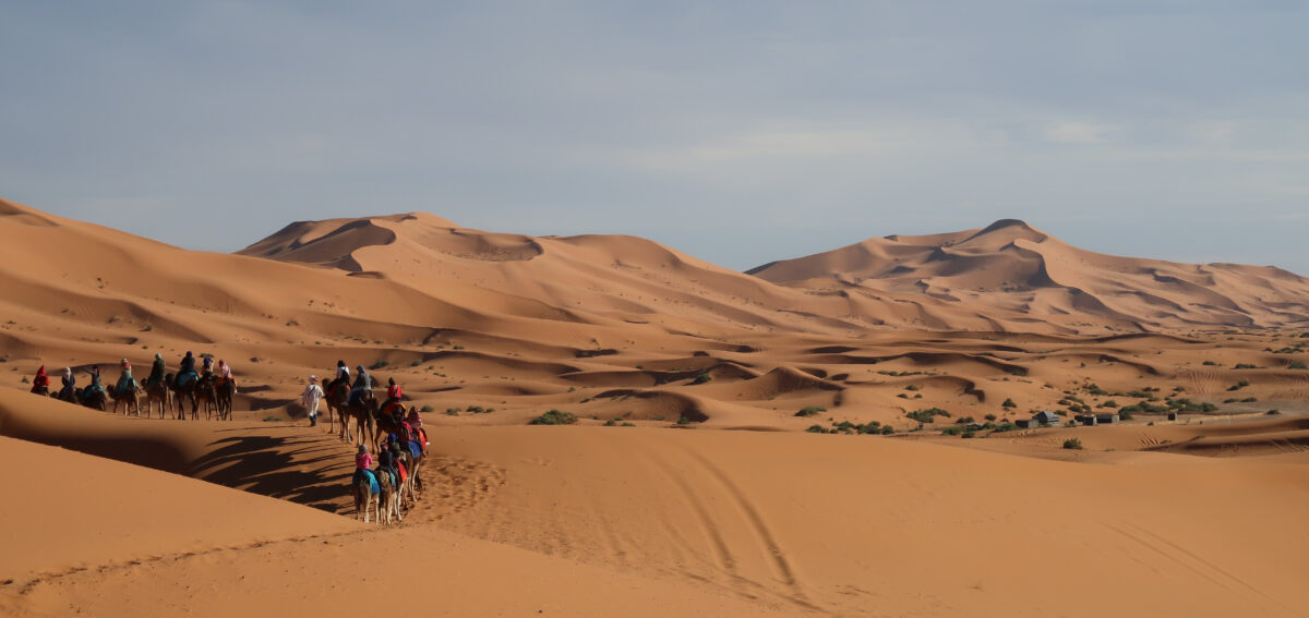 bigma tours in mhamid desert