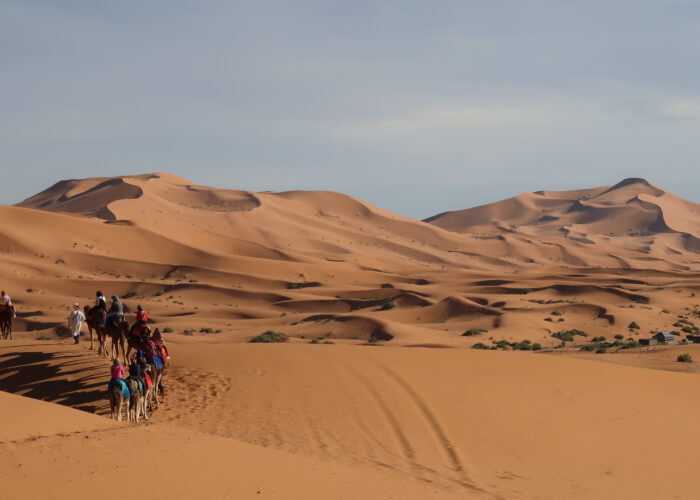 bigma tours in mhamid desert