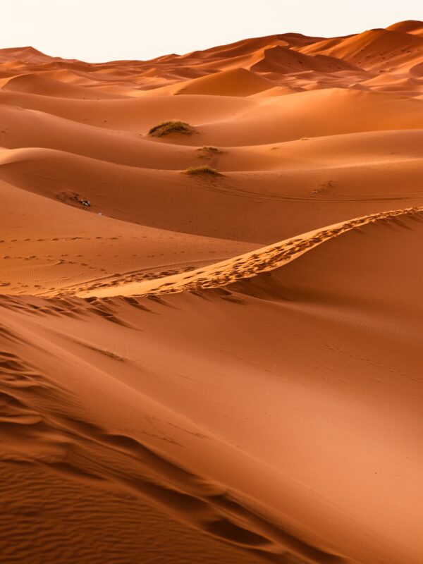 Moroccan Desert in Mhamid El Ghizlan