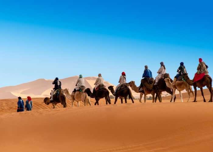 mhamid El Ghizlan tours in desert