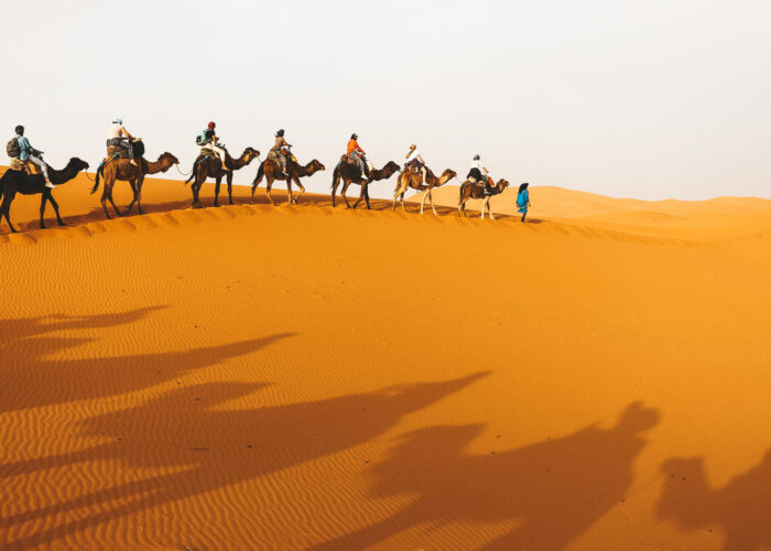 sahara desert tour